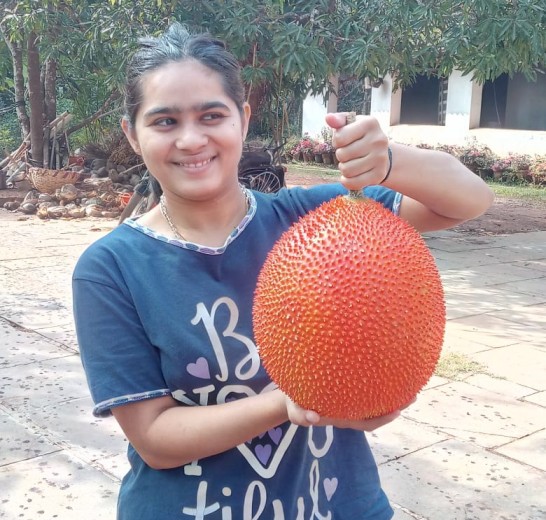 Petani buah eksotis di Karnataka