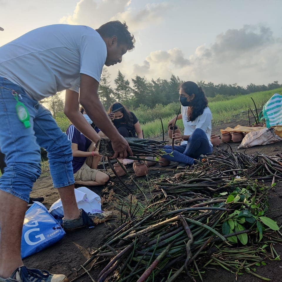 The team 'Vasai Beach Cleaners' busy cleaning trash off the beaches