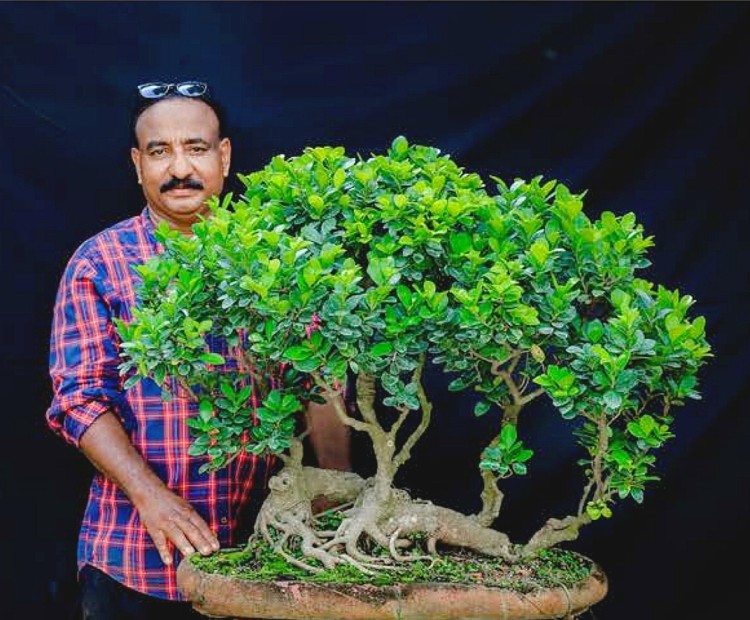 Ex Marine Engineer Creates Bonsai Paradise