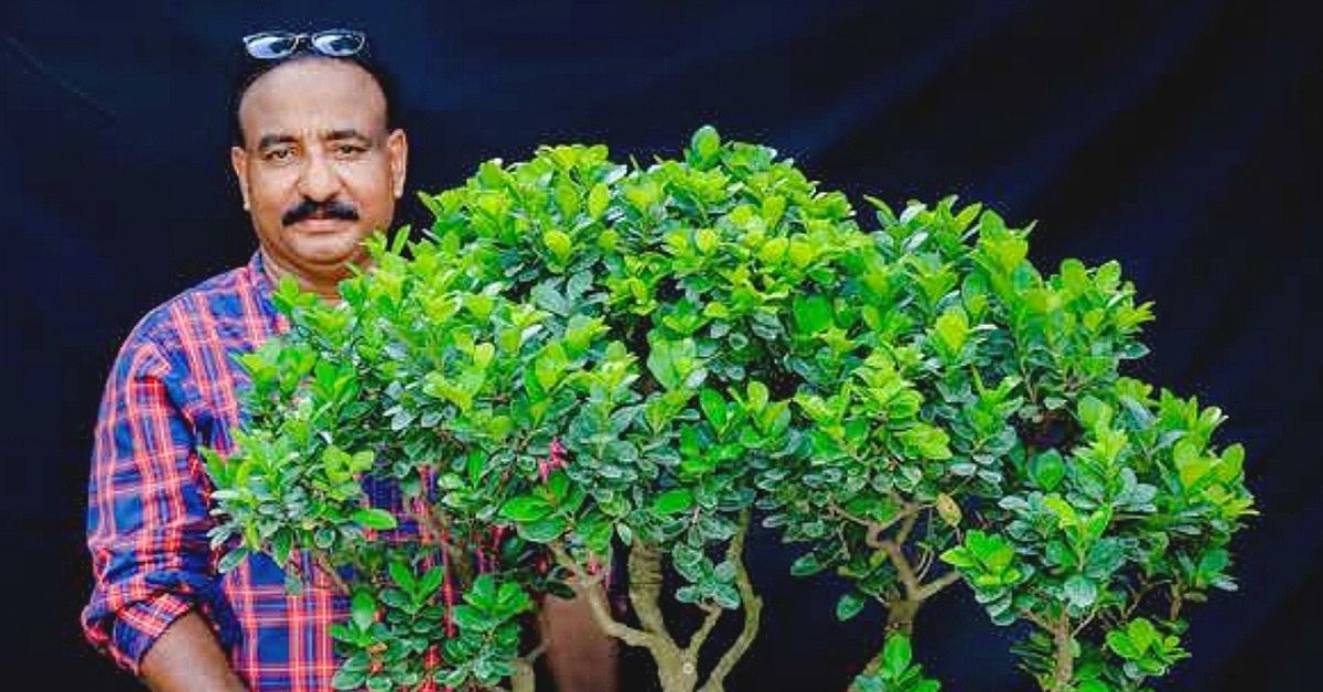 ‘I Was Offered Rs 5 Lakh for a Tree’: Ex-Marine Engineer Grows 200 Bonsai Varieties