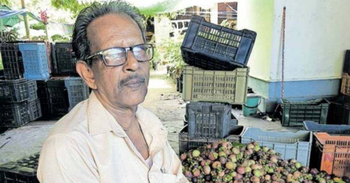 64-YO Kerala Farmer Grows 1000 Malaysian Mangosteen Trees, Earns Rs 50000/Plant