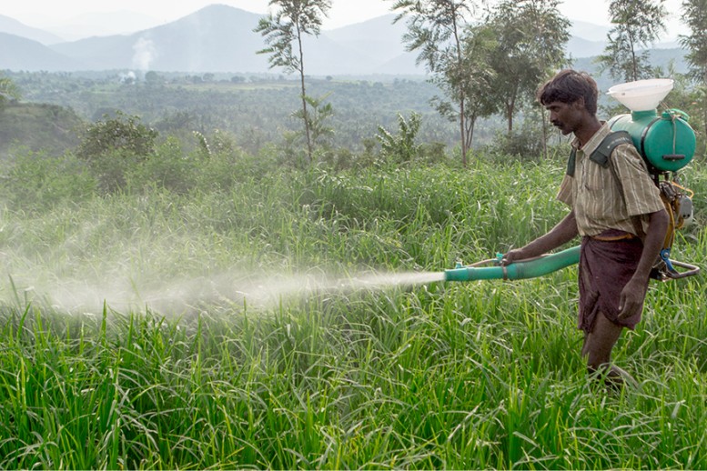 When farmers use chemical fertilisers like urea, the nitrogen increases thereby decreasing the carbon content.