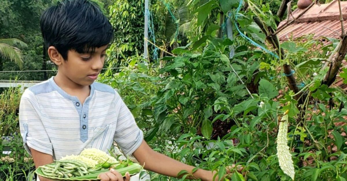 11-YO Boy’s Terrace Farm & Recipe for Bio-Manure Combine Wins Agri Dept Award