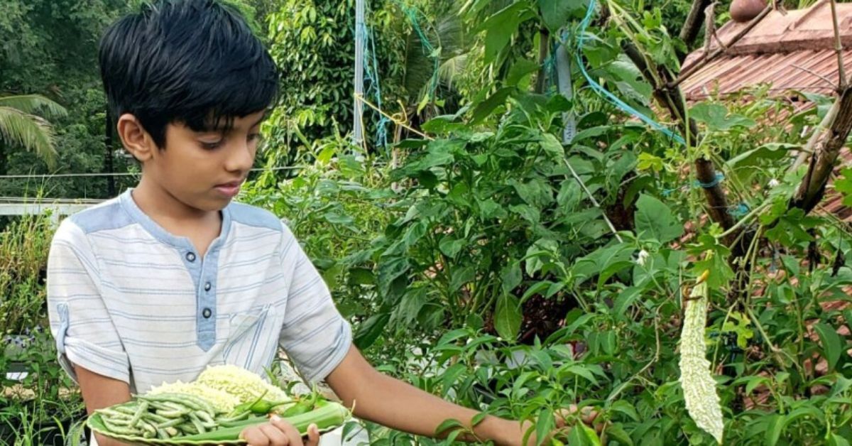 11-YO Kochi Boy’s Terrace Farm & Recipe for Bio-Manure Mix Wins Agri Dept Award