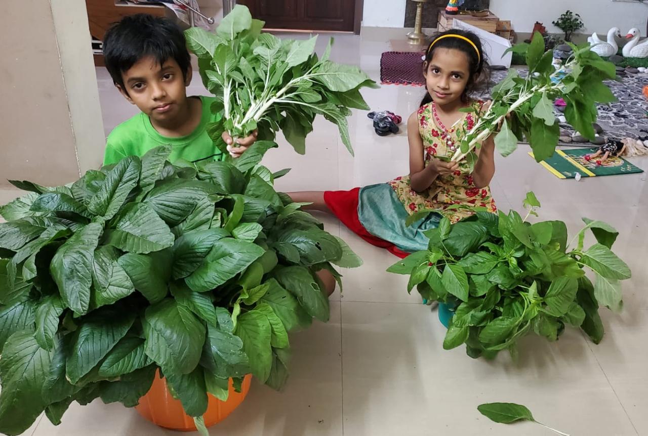 Niranjan P Student Farmer From Kochi