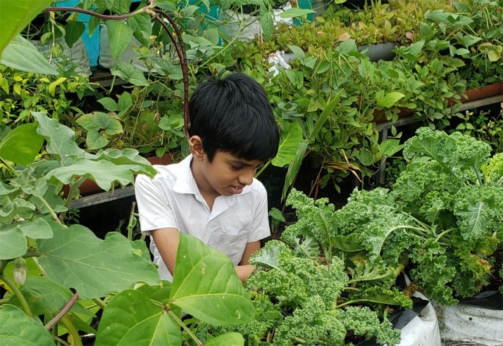 P Niranjan student farmer from Kochi