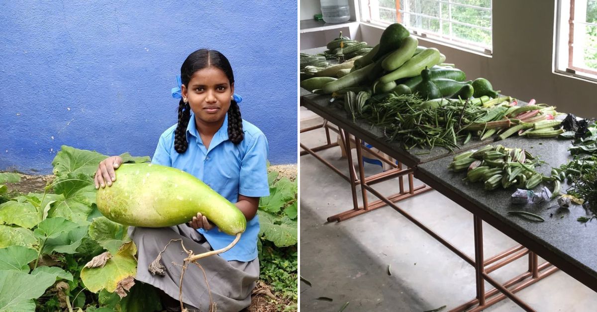 Organically produced vegetables in a school (Photo credits Manu K)