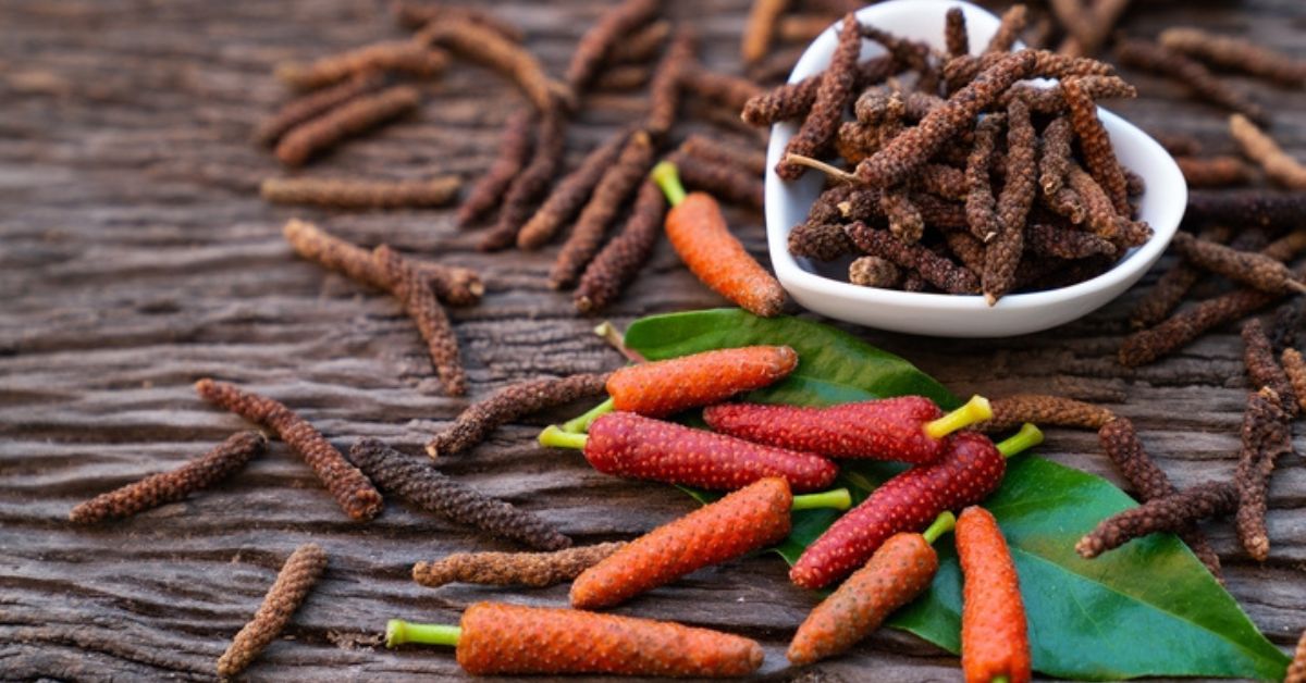 long pepper or pippali