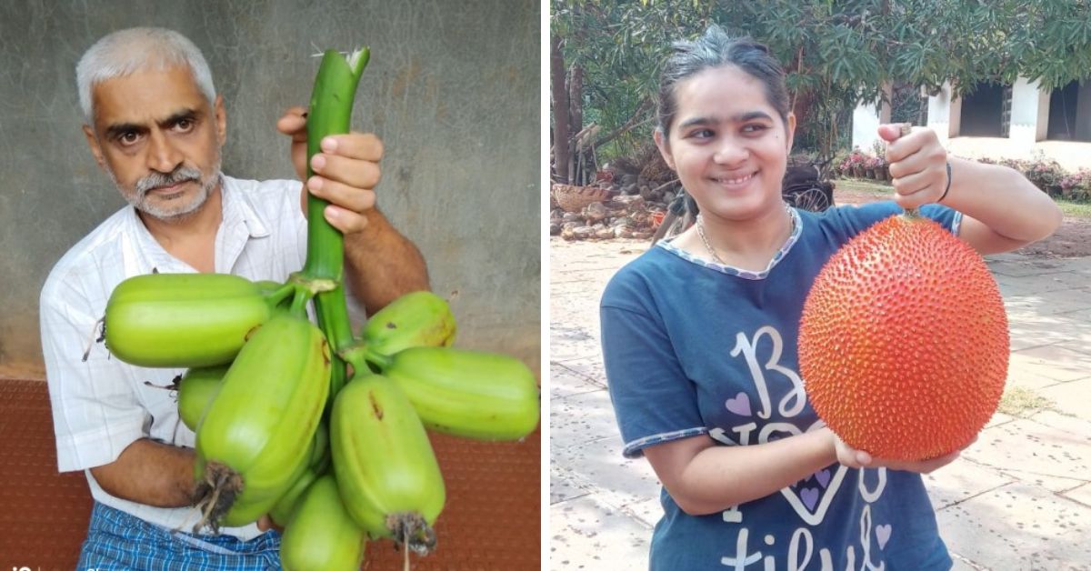 Rajendra Hindumane grows exotic fruits in his food forest