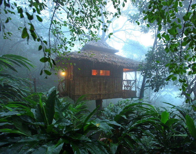 Vanya Tree House in Thekkady, Kerala.