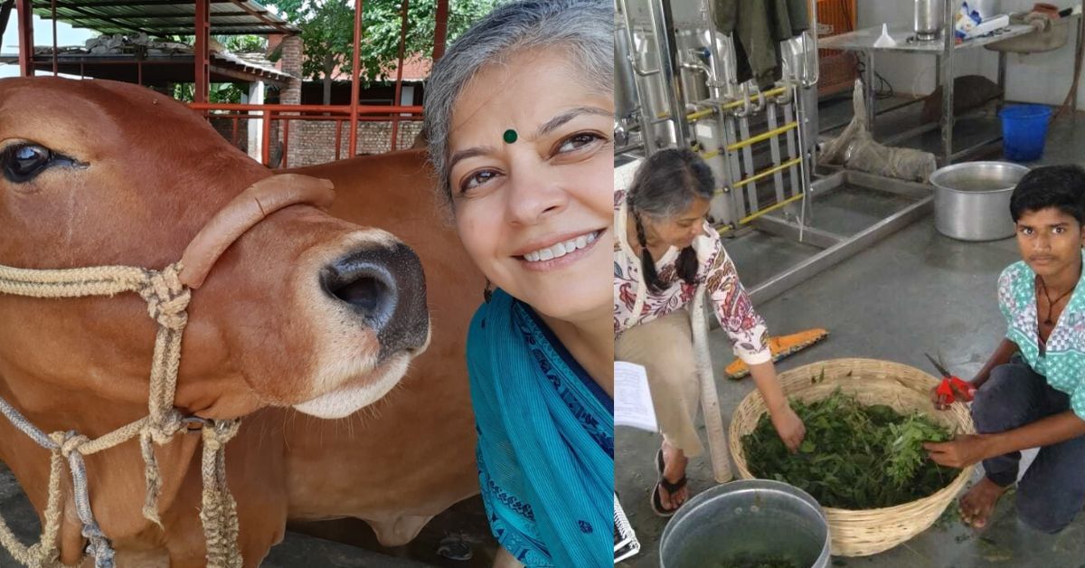 Former German Teacher Turns to Sustainable Dairy Farming, Earns Rs 70 Lakh in Revenues