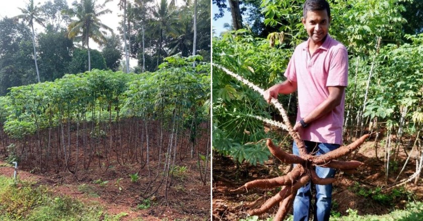 Vinod Venugopal at his farm land.