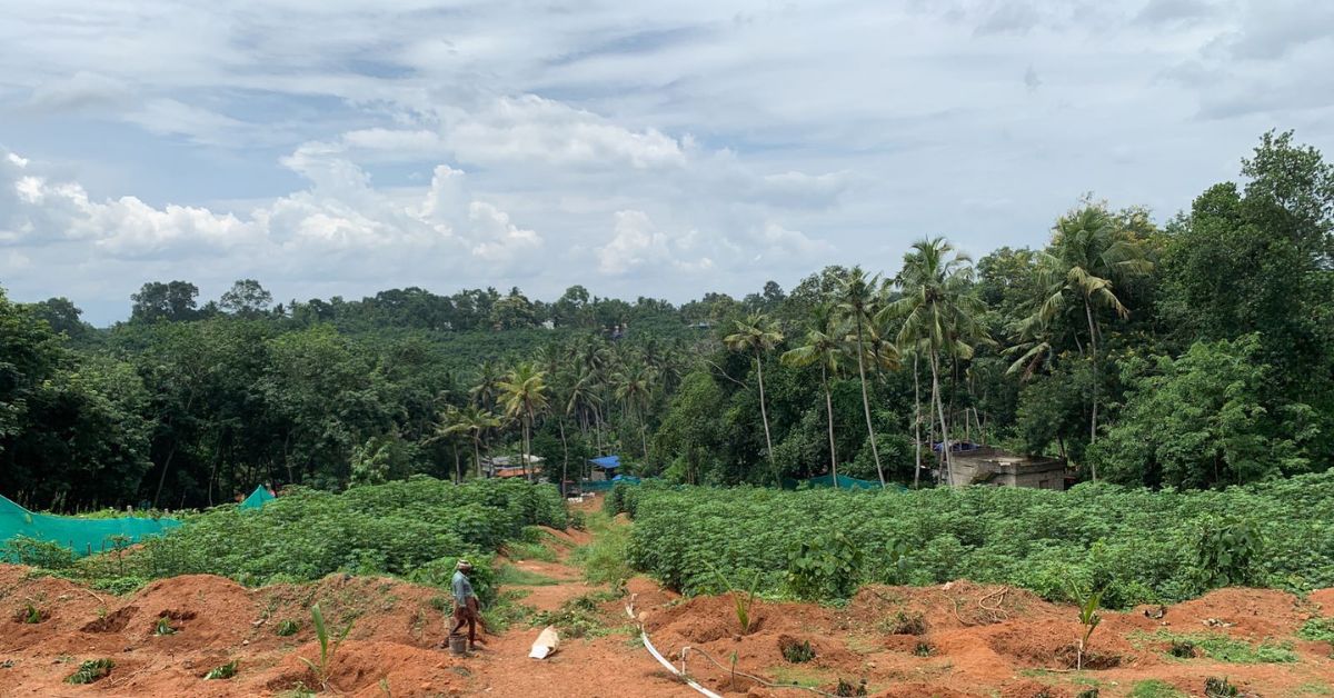Vinod's farm at Malayam in Thiruvananthapuram