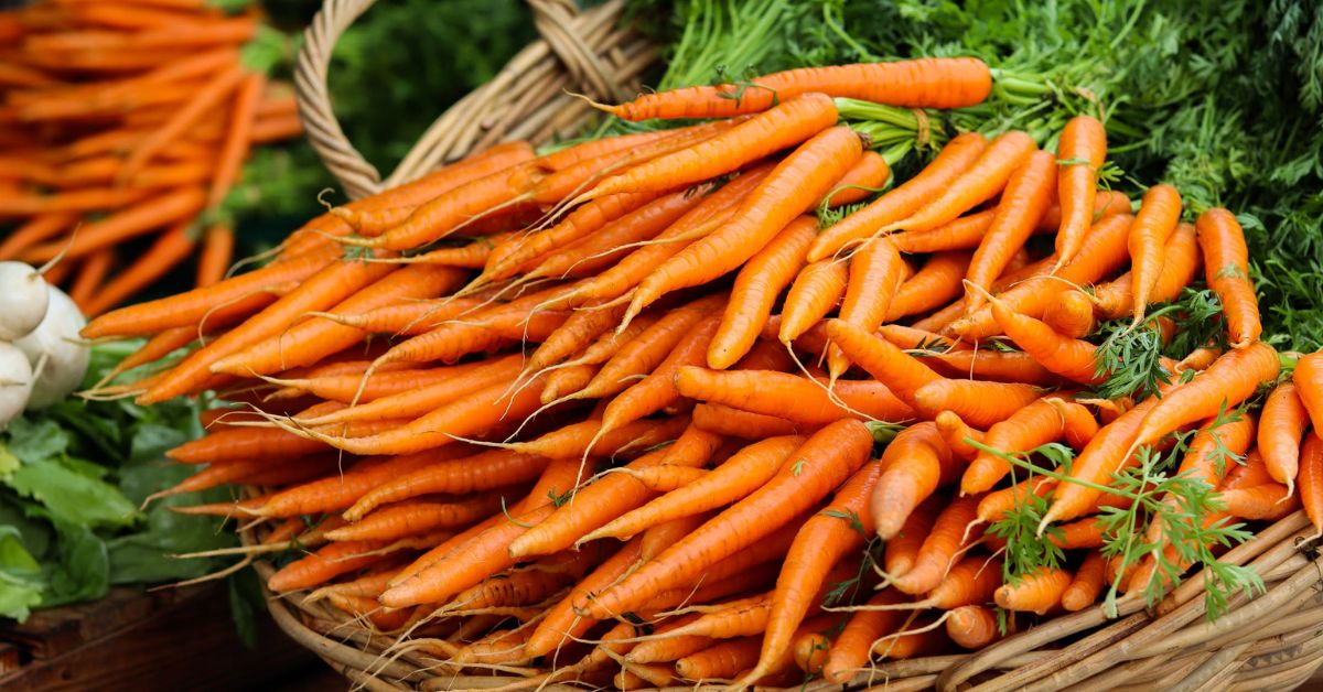 orange carrots piled on wooden baskets 