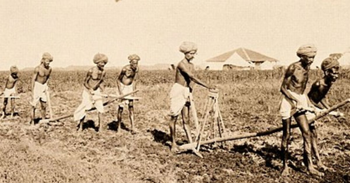 farmers in hyderabad toil on the fields during the 1890s
