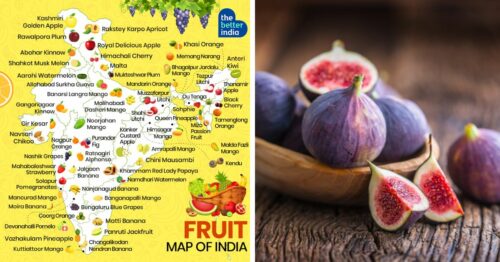 Fruit Map of India: 60 Famous Local Varieties & Where to Find Them