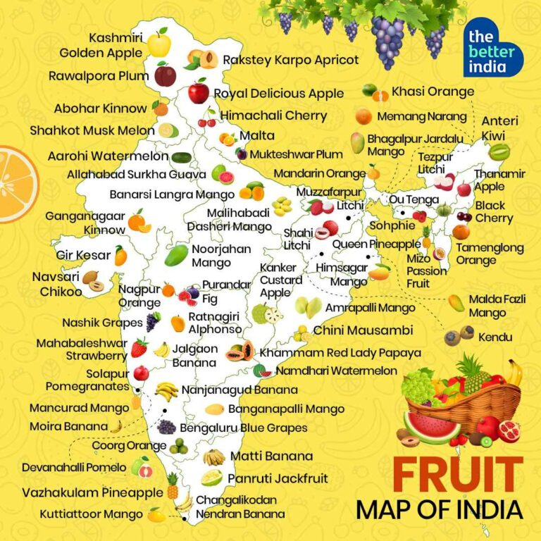 Fruit Map Of India 60 Famous Local Varieties And Where To Find Them