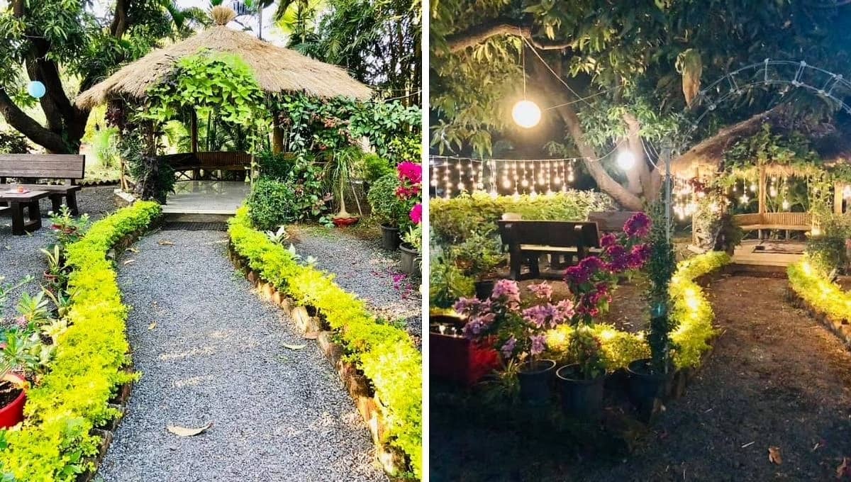 Sureshchandra's garden