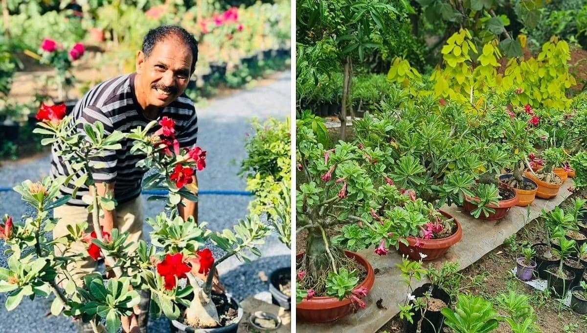Sureshchandra at his garden