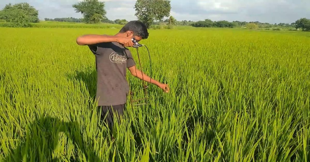 Portable, paddy hand wheeler by Ashok