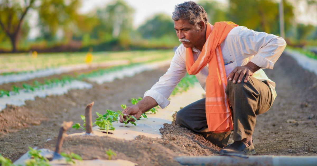 Representational image of a farmer