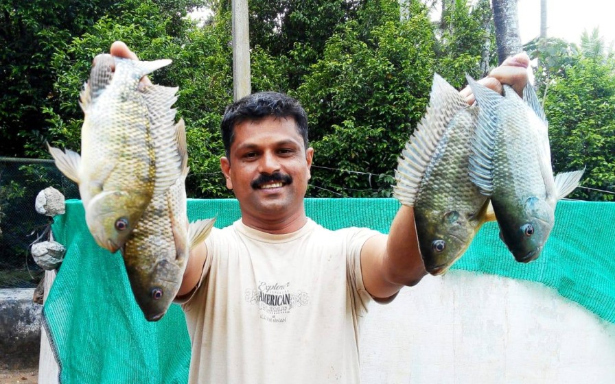 bijumon antony kerala farmer started with integrated farming grew varieties of fish