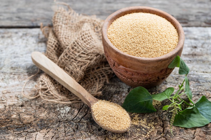 Amaranth grains or Rajgira