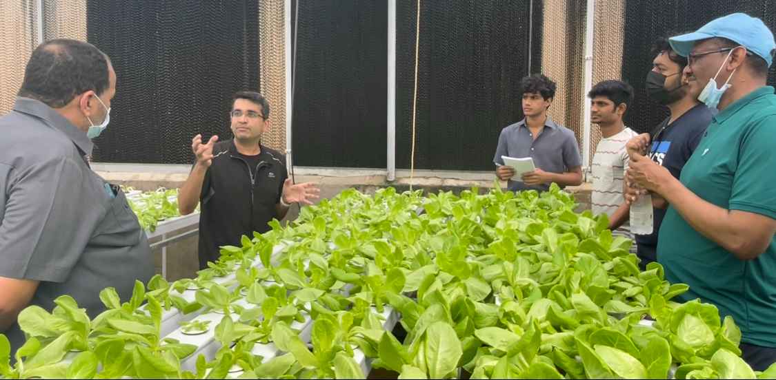 CityGreens helps farmers increase their yields and productivity through hydroponics technology