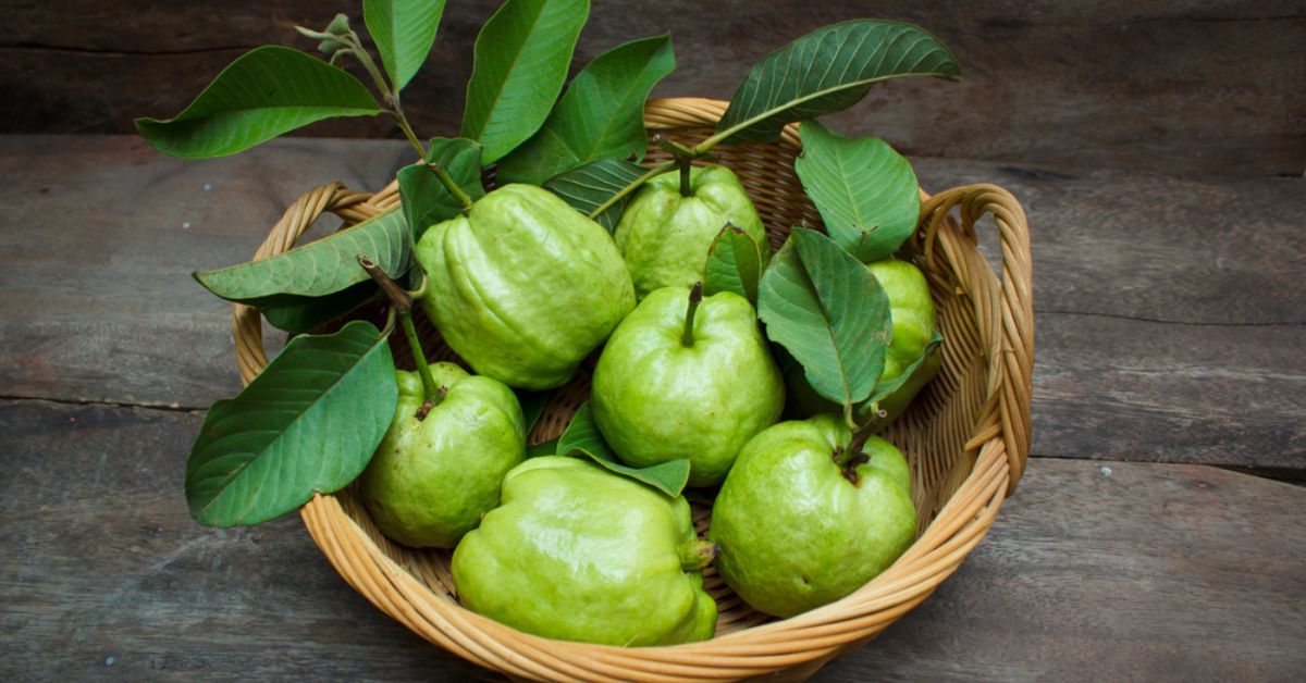 Guavas