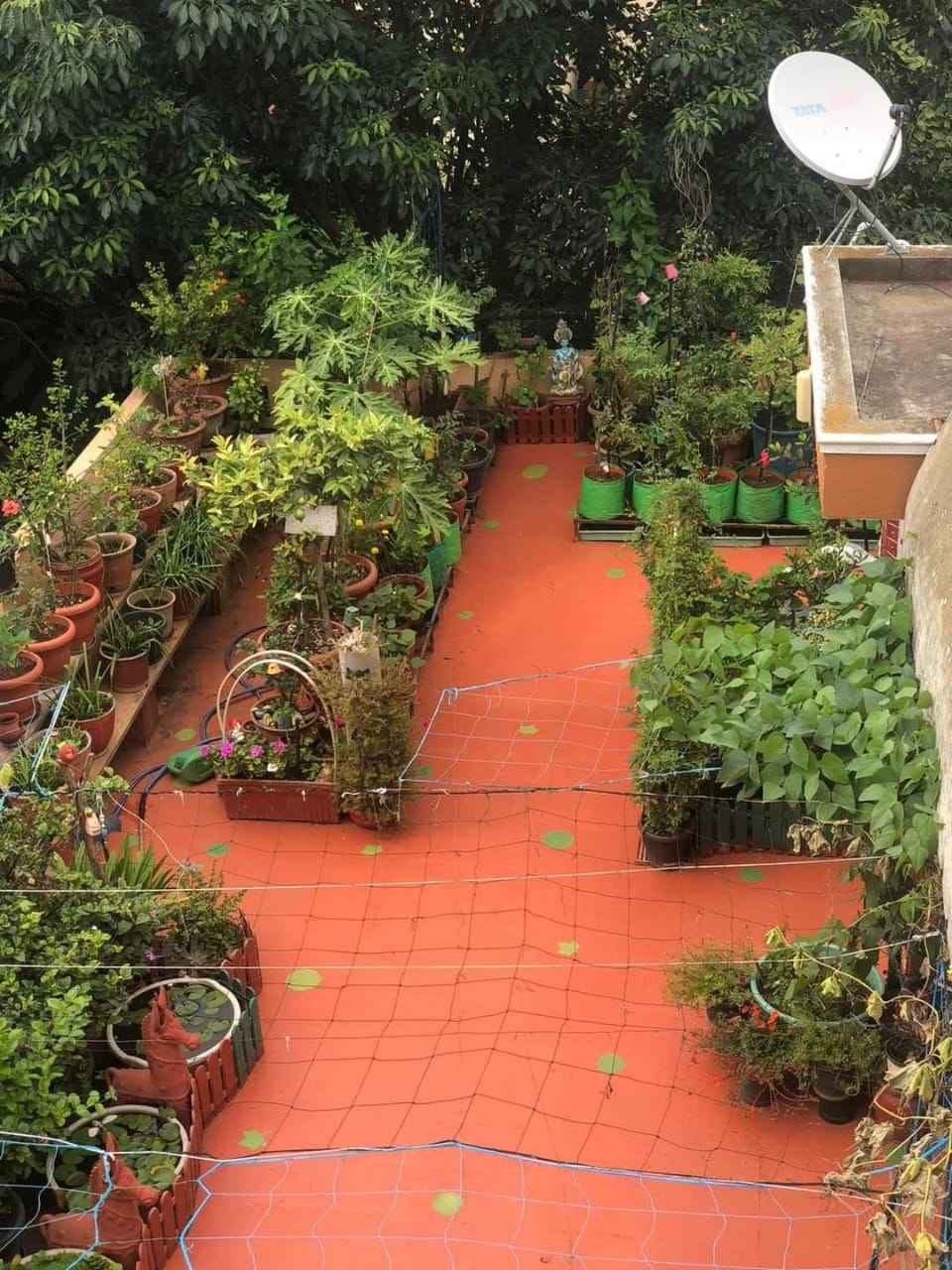Durgadevi Panneerselvam's garden