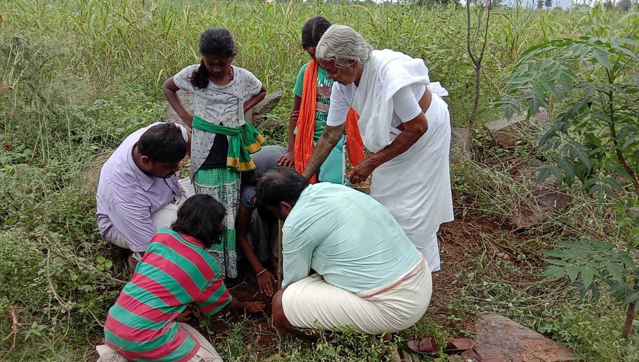 Senior Citizen Farmer - Nanjammal