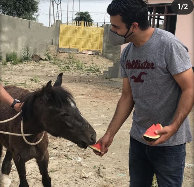 Animal Rescue Kashmir