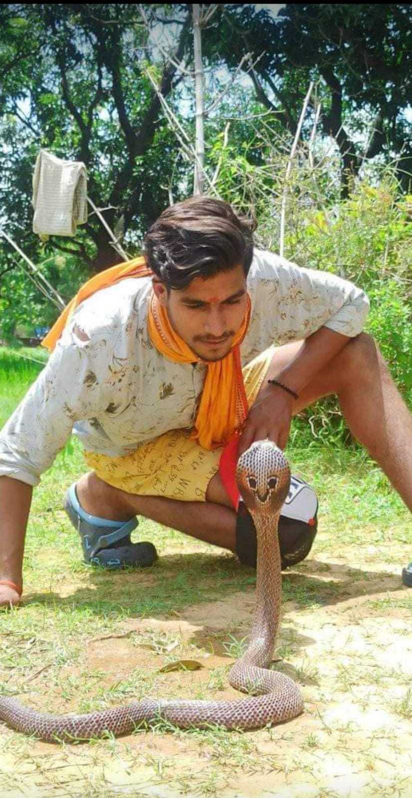 Hariom Chaubey dengan seekor kobra di Bux Bihar di mana dia melakukan penyelamatan ular dan hewan