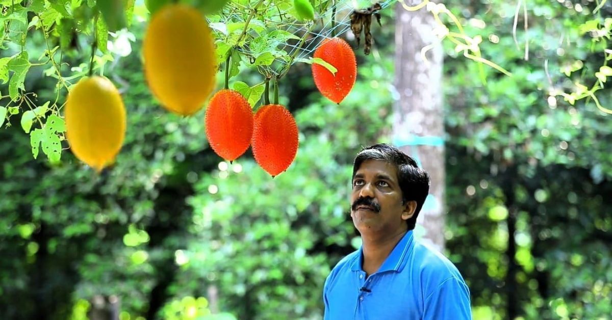 Kerala Farmer Grows Rare ‘Fruit of Heaven’, Earns Lakhs From Seeds Alone