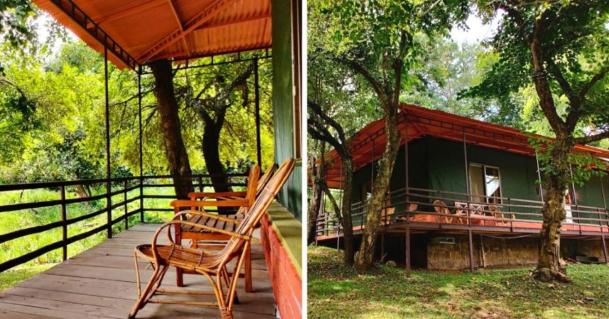 In the Heart of Nilgiris, Couple’s Eco-friendly Jungle Homestay Harvests the Sun & Rain