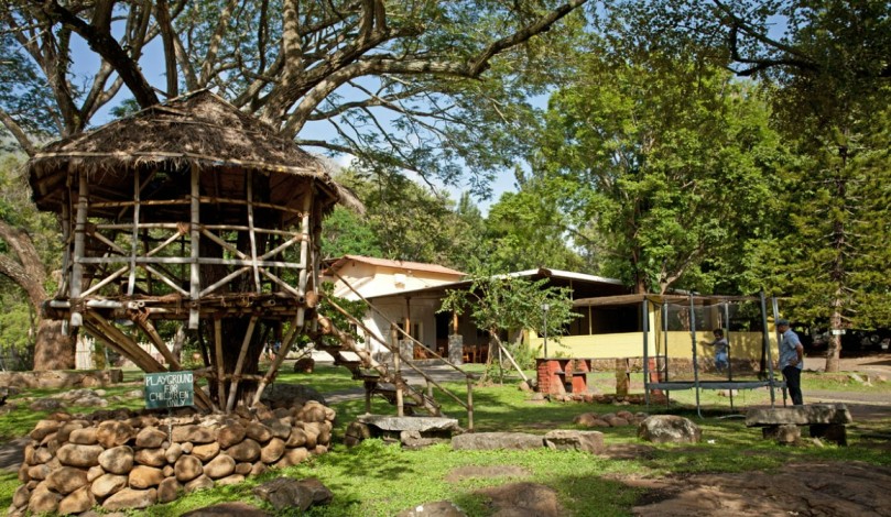 Homestay ramah lingkungan - Jungle Hut