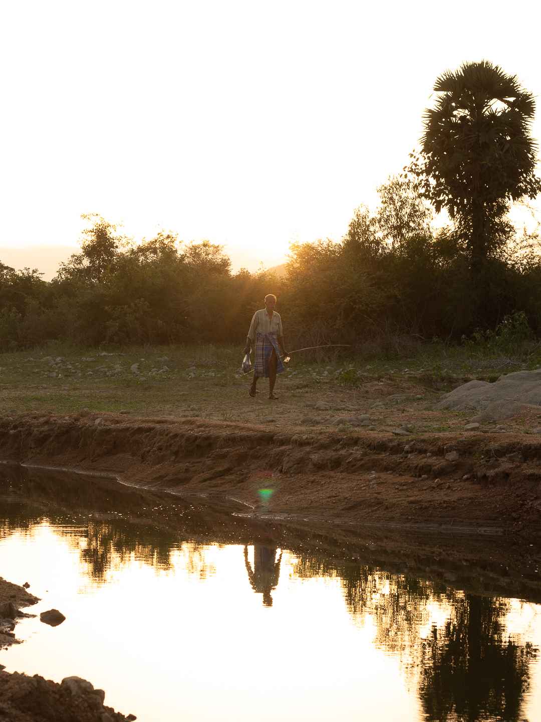 The lake at Velanga Orchard