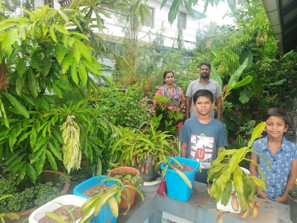 Medicinal herb garden