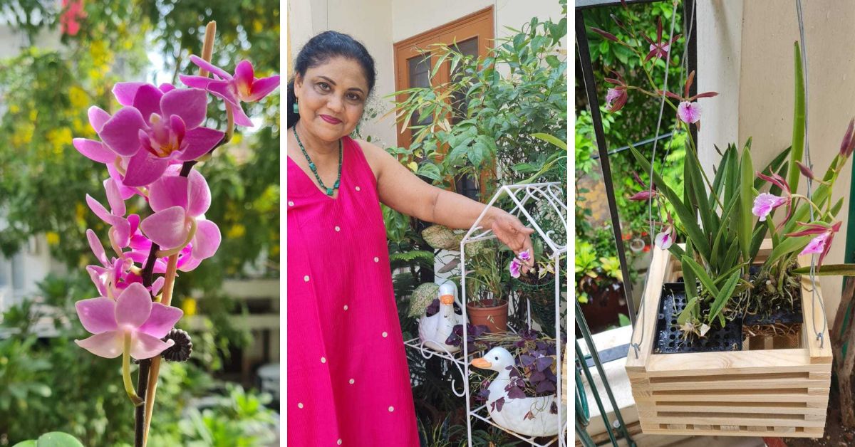 How to Grow Orchids at Home: 63-YO Urban Gardener Shares 10 Easy Steps