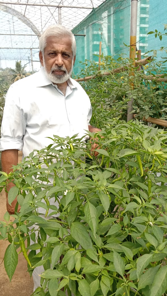 Kerala terrace farmer, Punnoose Jacob