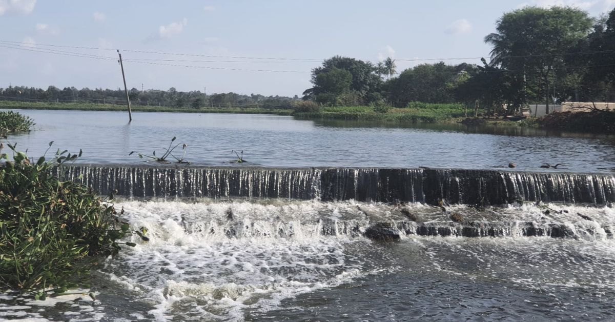 Water gushes at a lake revived by Santhosh Kumar