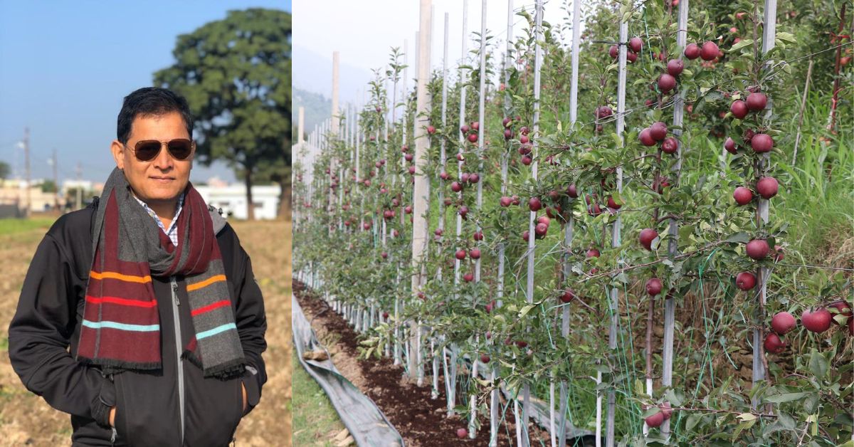 Amid Himachal’s Apple Crisis, Ex-Banker Turns Barren Land into Orchard With 20000 Trees