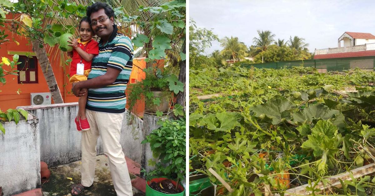 Engineering Prof Grows All Veggies for his Kitchen in Recycled Refrigerators on Terrace