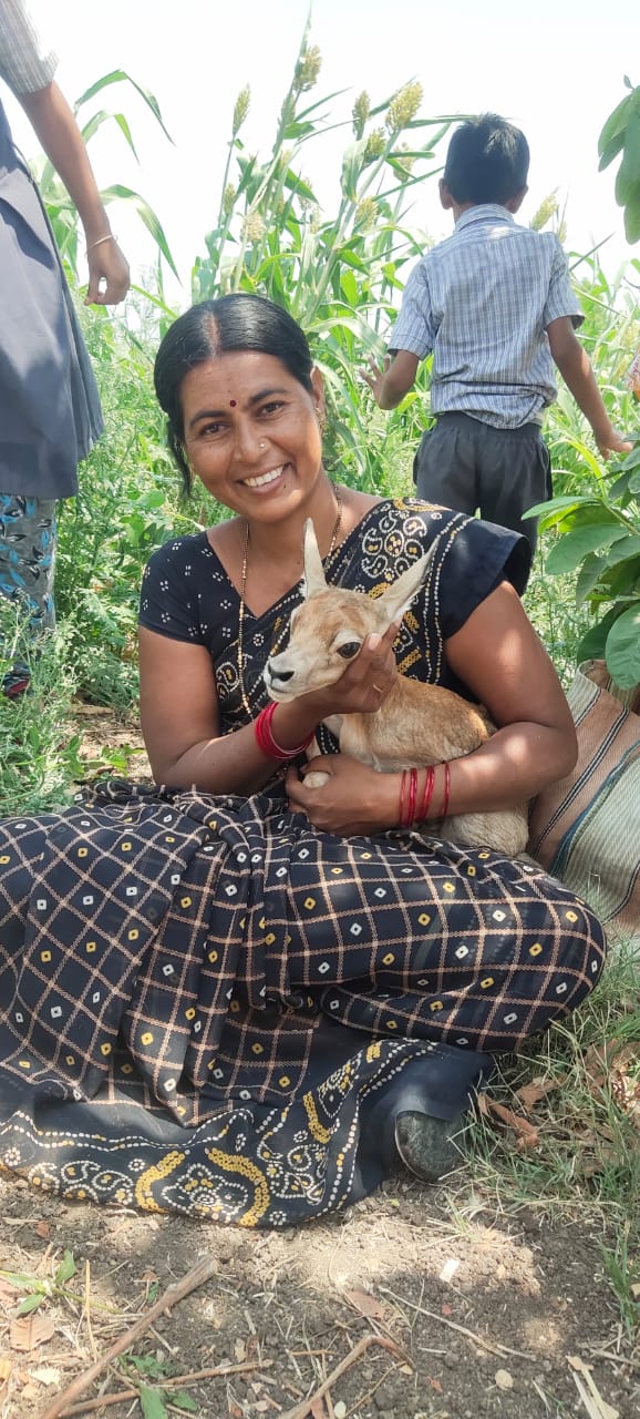 Savita seorang petani organik kelahiran Maharashtra di ladang. 