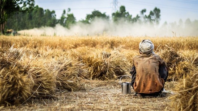 Farmer representational image