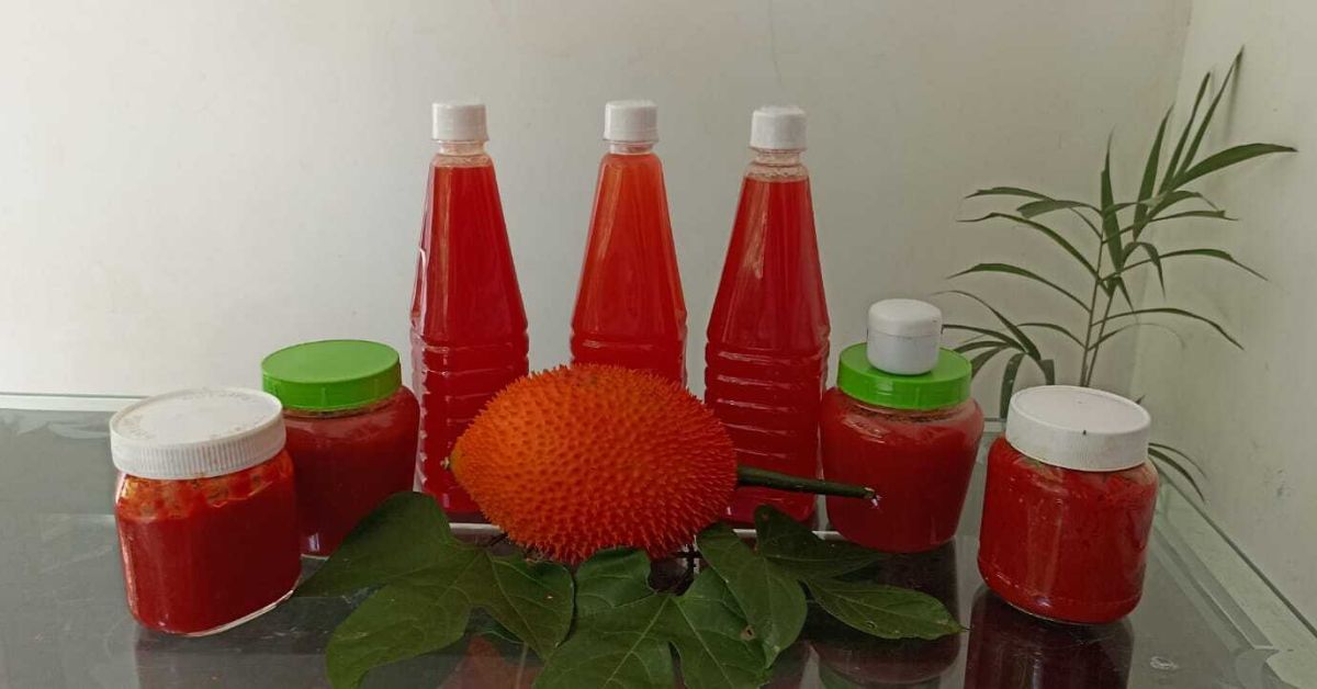 Products made from gac fruit