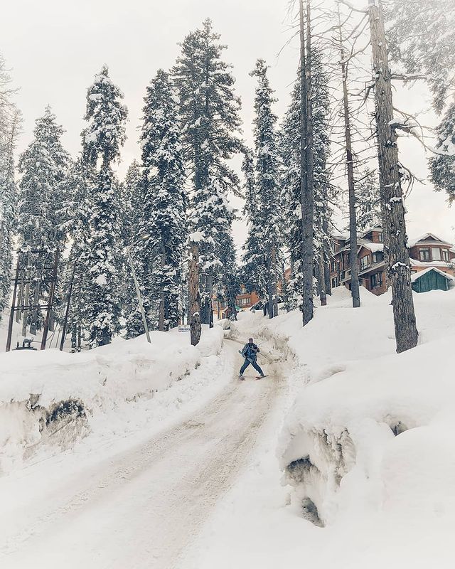 A person skiing at Gulmarg. 