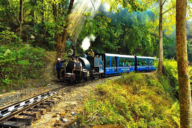A view of the toy train at Darjeeling