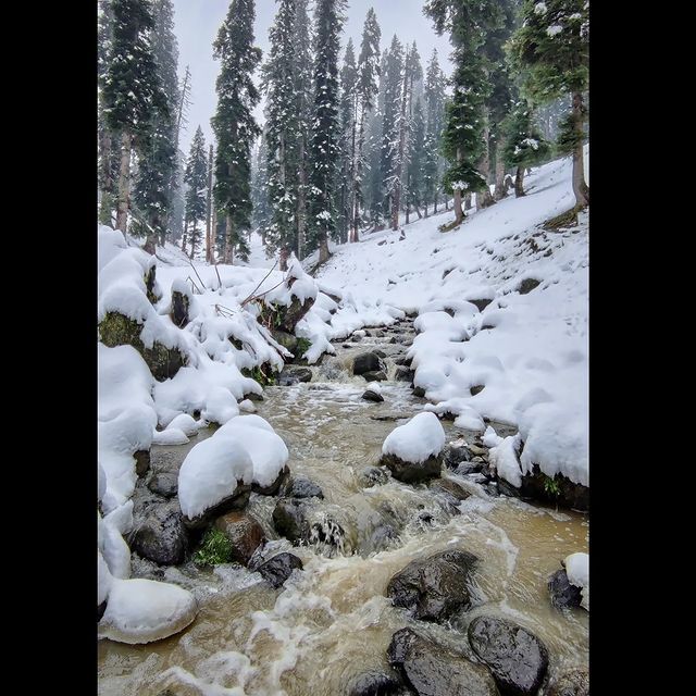 A view from Baisaran Valley in Kashmir. 