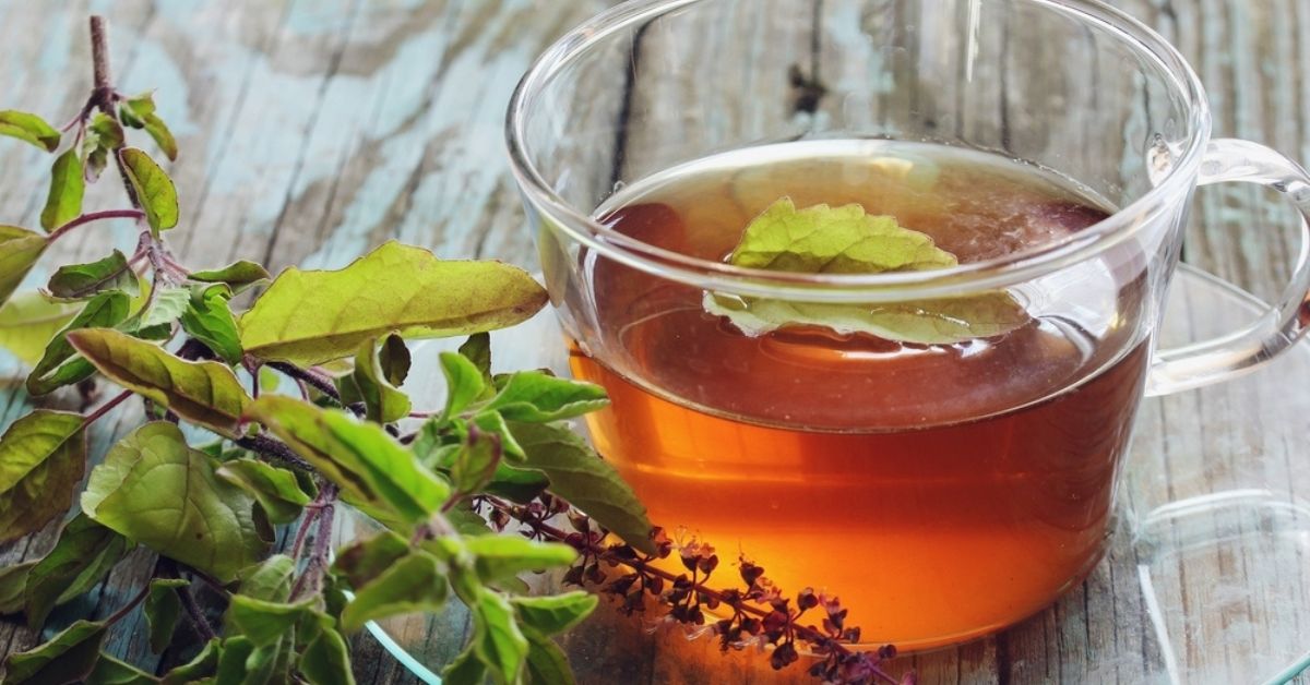 Fights Arthritis, Stress: Science Says Tulsi Tea Is The Healthy Winter Drink You Need